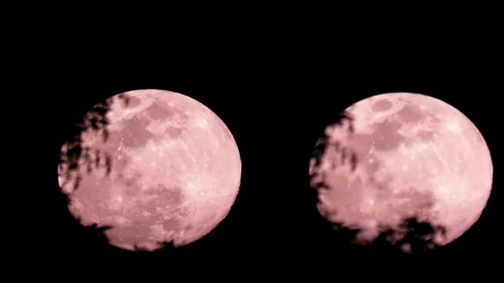 القمر العملاق يظهر في سماء عسير.. فيديو