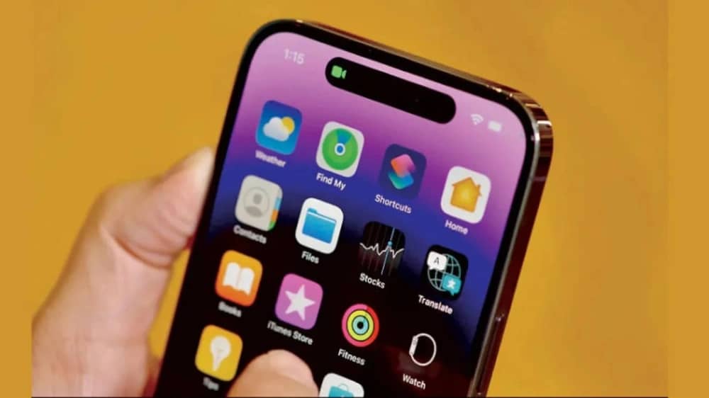 WhatsApp Image 2026-01-03 at 8.48.13 AM.jpeg