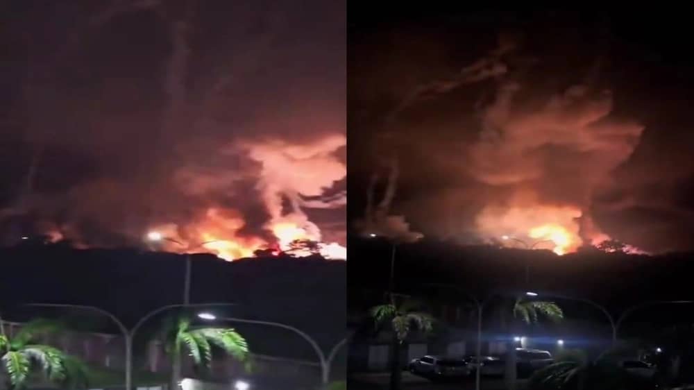 WhatsApp Image 2026-01-03 at 9.20.11 AM.jpeg