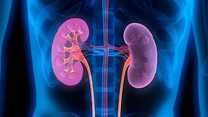 نصائح هامة للوقاية من أمراض الكلى
