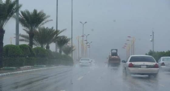 " الأرصاد " تنبه من هطول أمطار رعدية على الباحة