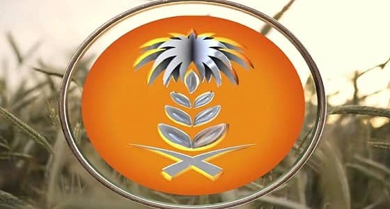 المؤسسة العامة للحبوب ترسي الدفعة الأخيرة من الشعير هذا العام