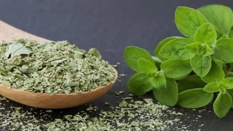 فوائد البردقوش الصحية للرحم والمبايض