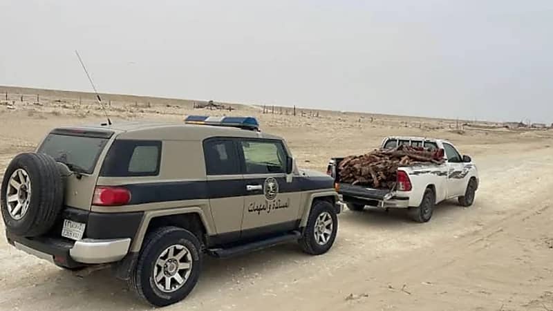 ضبط مخالفًا لنظام البيئة بالقصيم