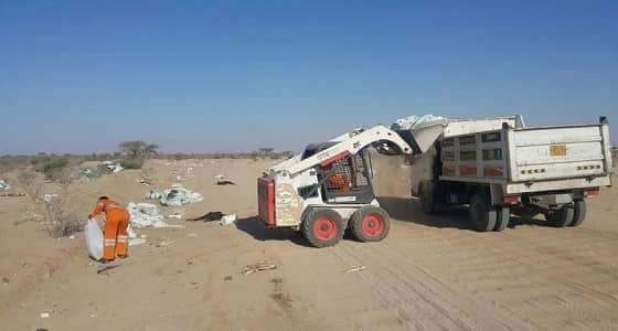 إزالة عدد كبير من الحيوانات النافقة في الطائف