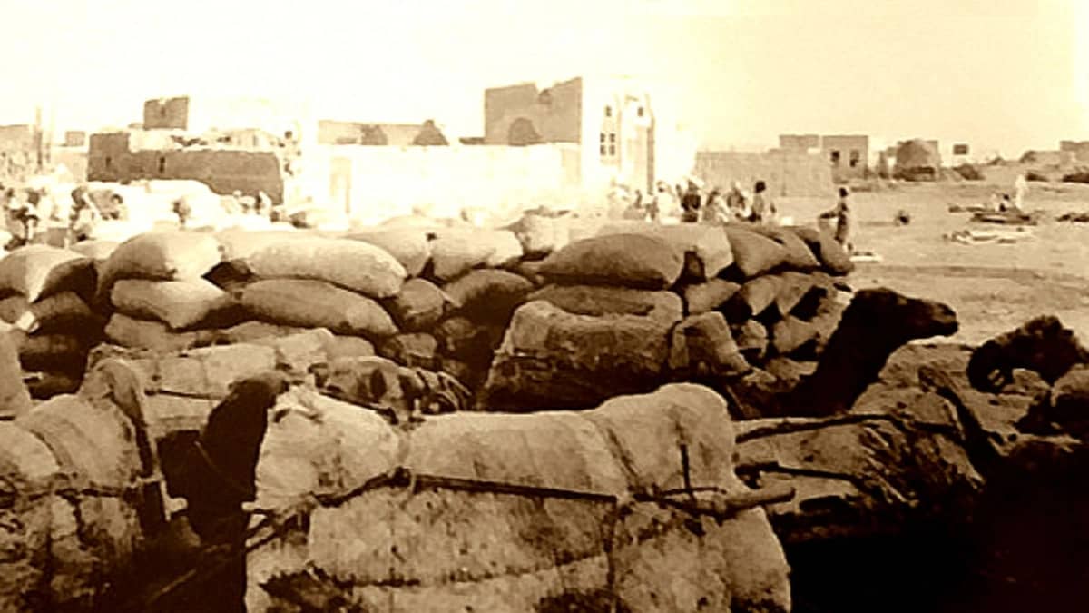 بالفيديو.. محافظة القنفذة أو «البندر» وتفاصيل الحياة بها قديما