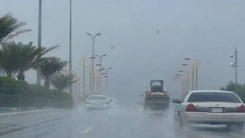 الأرصاد: أمطار على معظم المناطق حتى منتصف الأسبوع المقبل.. فيديو