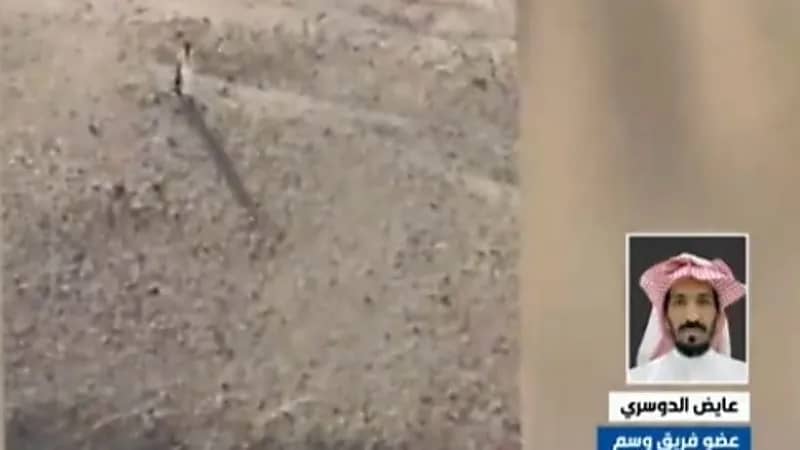 شاهد.. عضو بوسم: البحث عن مفقودي الأفلاج استغرق 13 ساعة