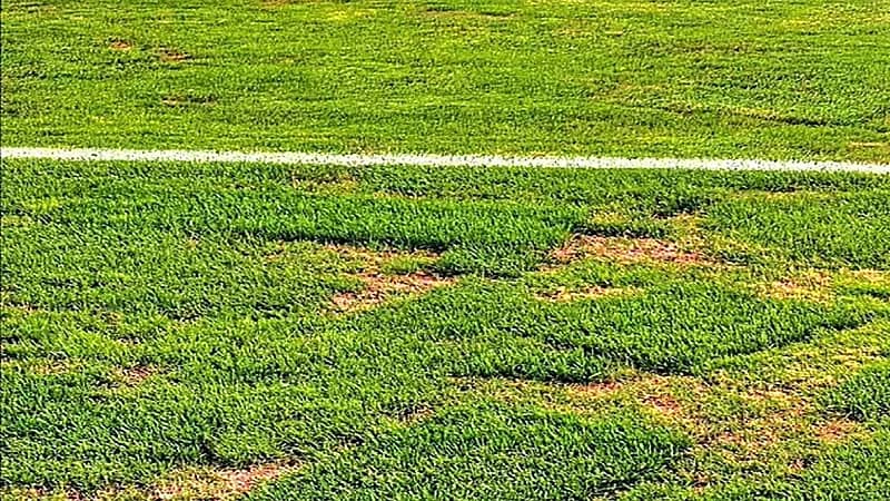 رئیس نساجي: ملعب آزادي غير مناسب للقاء الهلال