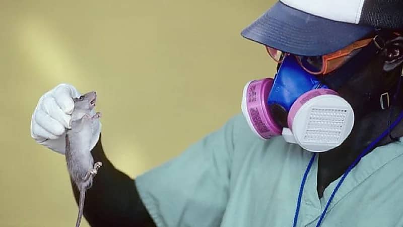 تحذير من الصحة العالمية حول انتقال أمراض الحيوانات للبشر